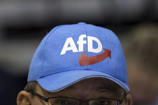 afd germany